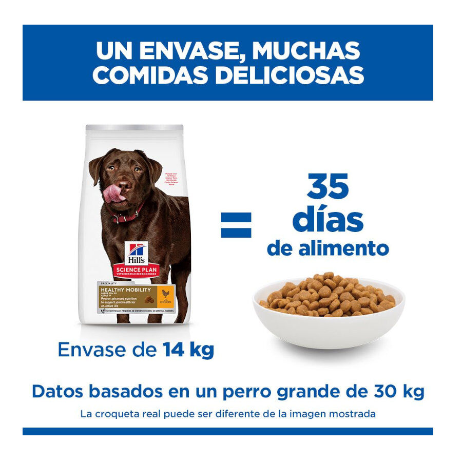12 kg Hill's Science Plan Healthy Mobility Adult Large Pollo pienso para perros, , large Imagen numero 6