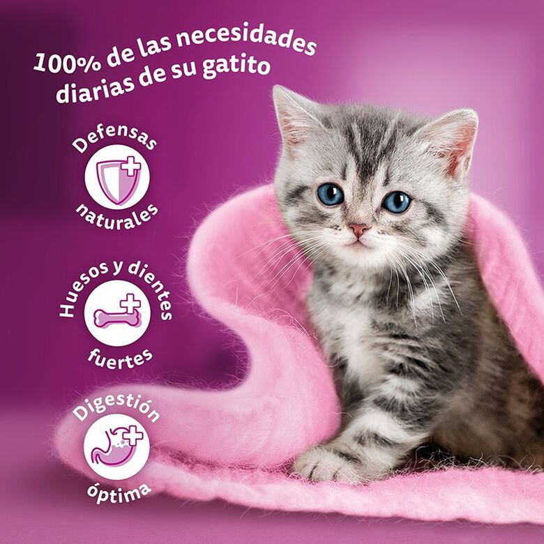 Whiskas Pure Delight Junior Selección Aves Gelatina en Bolsita para gatos thumbnail