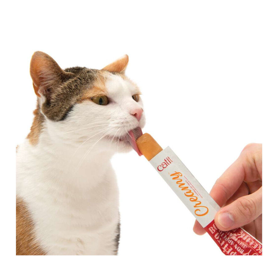 4 sobres x 10 g Catit Creamy Snack L&iacute;quido de At&uacute;n para gatos, , large Imagen numero 6