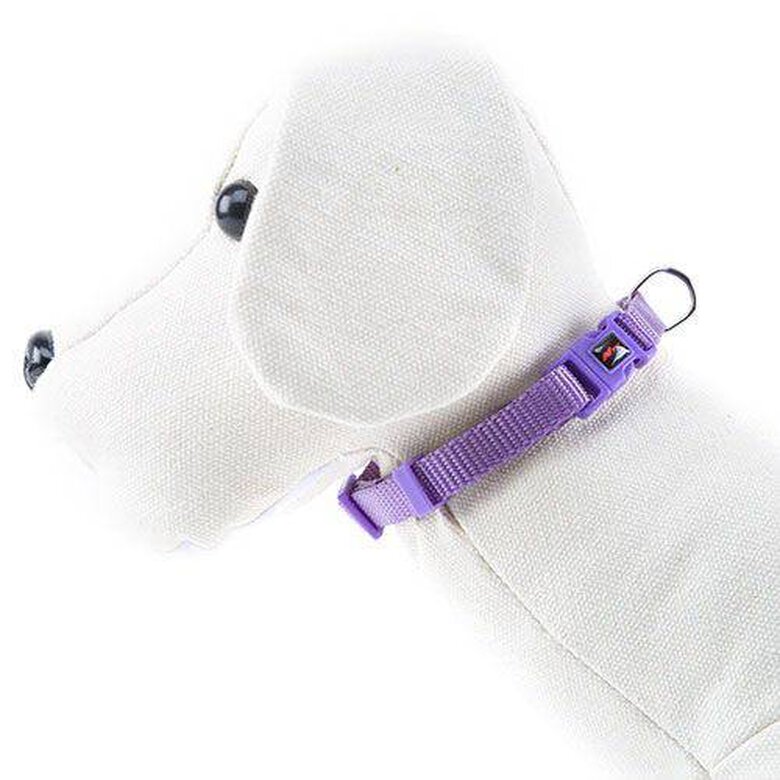 accesorio_perro_nayeco_basic_lila_collar_NAYPE68482_M Imagen numero 1 Nayeco Basic collar para perros lila de nylon Imagen numero 1