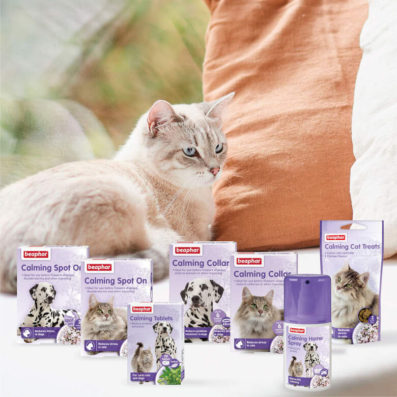 Beaphar No Stress Difusor y Recambio Relajantes para gatos thumbnail