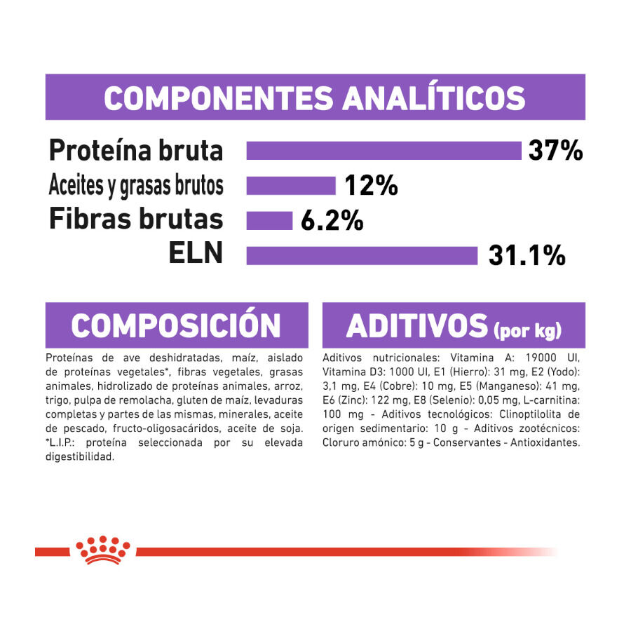 Royal Canin Regular Sterilised 37 pienso para gatos thumbnail