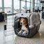 Outech IATA Apolo Transport&iacute;n para perros y gatos, , large indicador imagen numero 1
