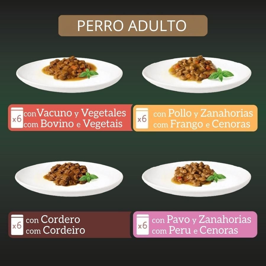 24 x 100 g Milord Adult Receta estilo casero en salsa Sobres para perros - Multipack, , large Imagen numero 3