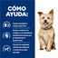 Hill's Prescription Diet k/d Cuidado Renal lata para perros, , large indicador imagen numero 4