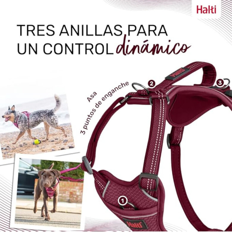 Halti arnés anatómico con asa magenta para perros,  Imagen numero 4 Halti arnés anatómico con asa magenta para perros, , large Imagen numero 4