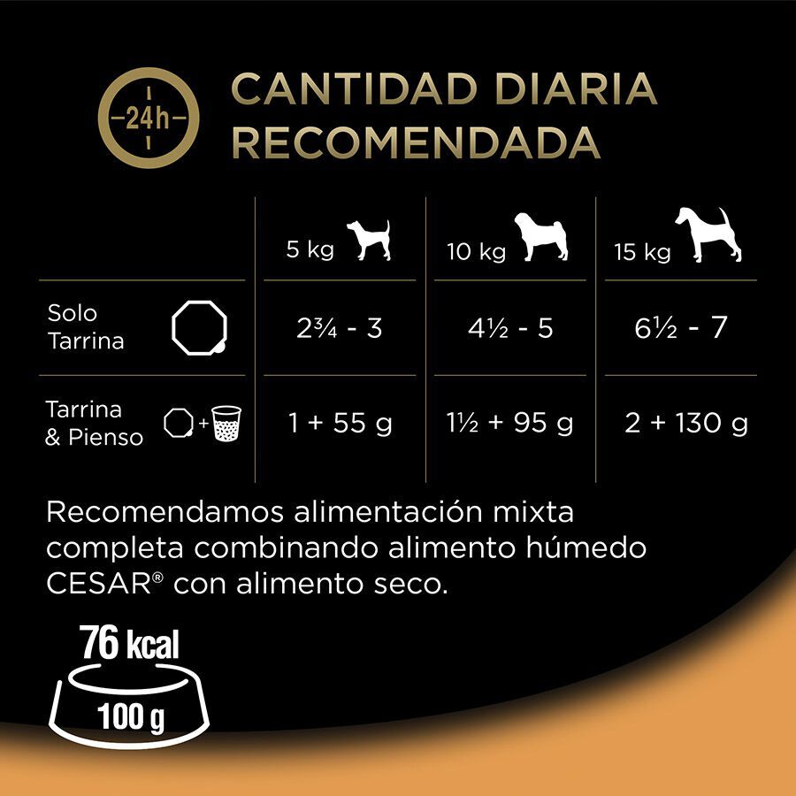 4 tarrinas x 150 g Cesar Recetas de la huerta Tarrina en Pat&eacute; y Gelatina para Perros , , large Imagen numero 4