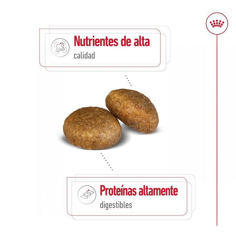 Royal Canin Maxi Adult pienso para perros thumbnail