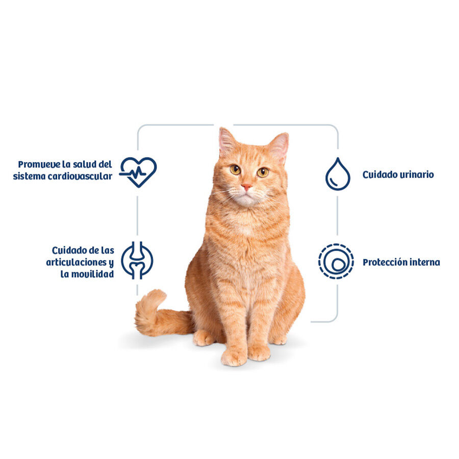 Nath Adult Pollo y Arroz pienso para gatos thumbnail