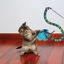 Kong Teaser Curlz Caña con plumas para gatos, , large indicador imagen numero 2
