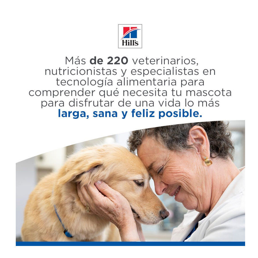 12 kg Hill's Science Plan Healthy Mobility Adult Large Pollo pienso para perros, , large Imagen numero 11