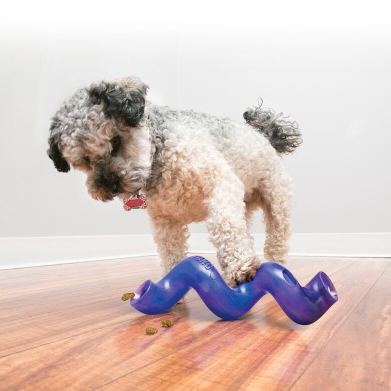 Kong Treat Spiral Stick Portagolosinas para perros thumbnail