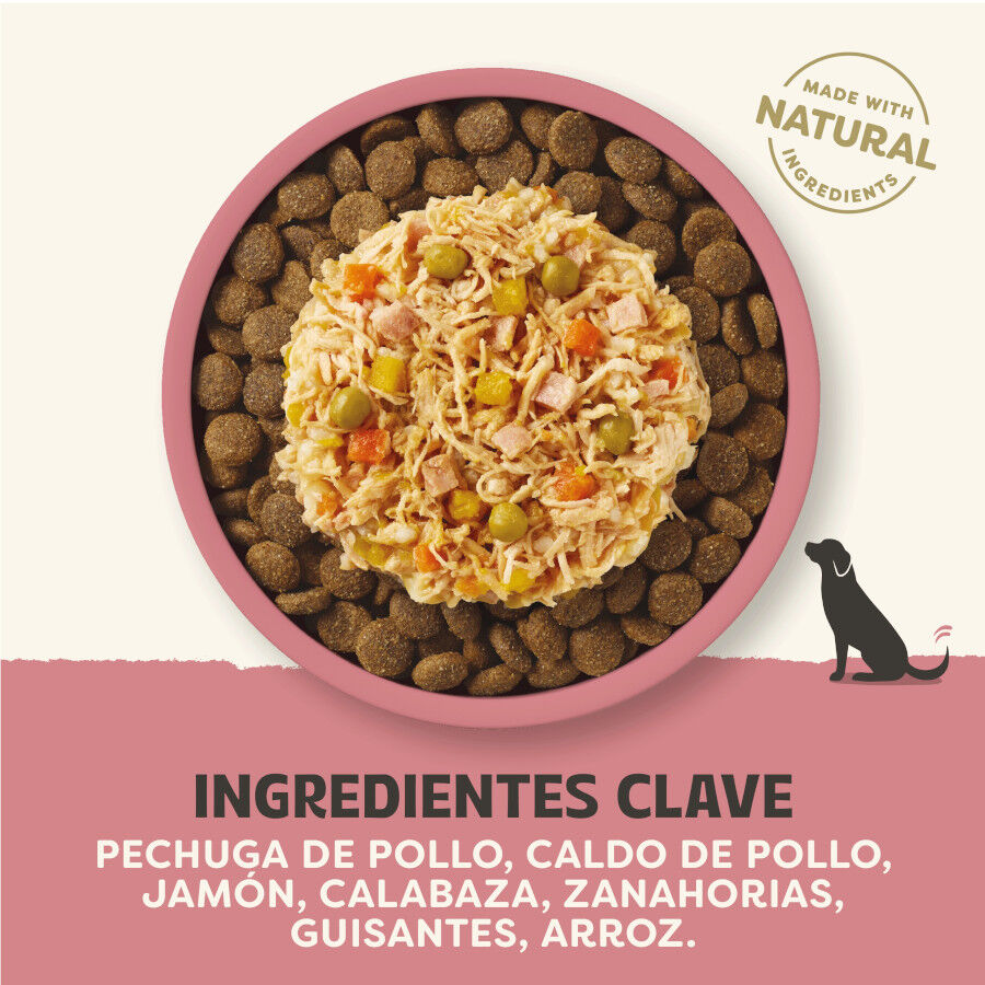 156 g Applaws Taste Toppers Pollo con Jam&oacute;n y Vegetales en Caldo lata para perros, , large Imagen numero 3
