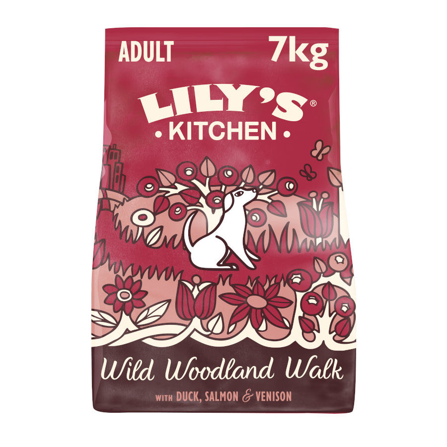 Lily's Kitchen Adult Pato, Salmón y Ciervo pienso para perros