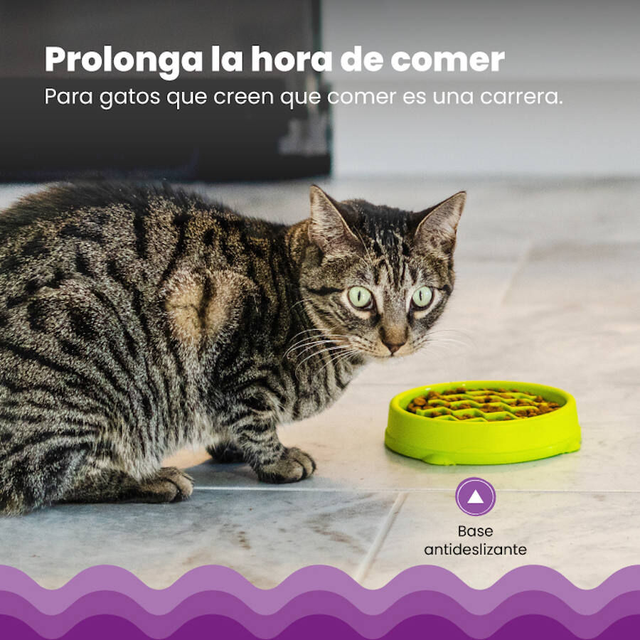 Catstages Cat Fun Comedero Lento Verde para gatos thumbnail