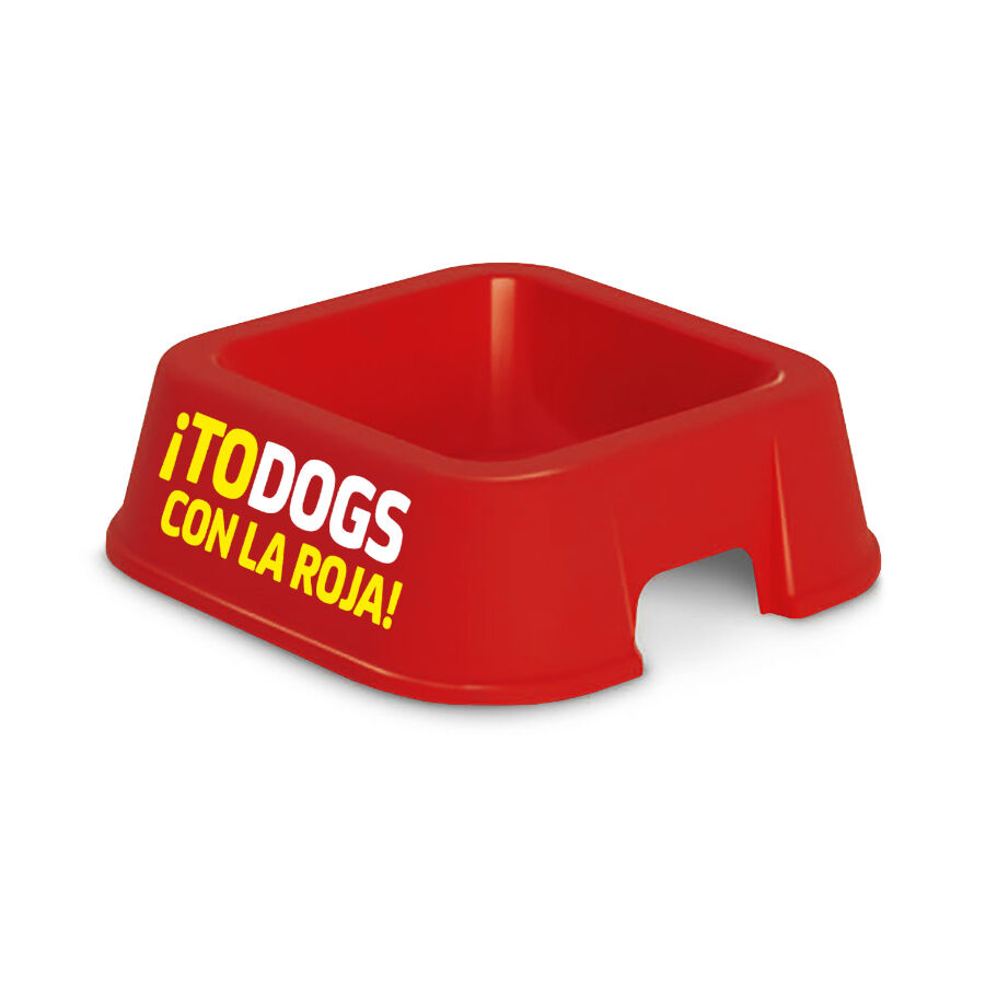 Nayeco Comedero Mundial Rojo para perros, , large Imagen numero 1