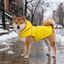 Gotoo Impermeable Reflectante Amarillo para perros, , large indicador imagen numero 1
