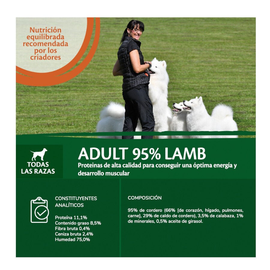 400 g Wellness Core Cordero con Calabaza lata para perros, , large Imagen numero 3