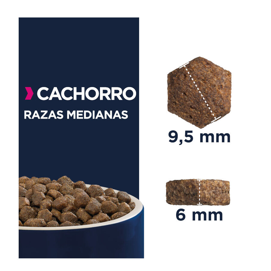 15 kg Eukanuba Puppy Medium Pollo pienso para perros, , large Imagen numero 4