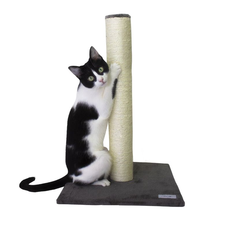 Catshion Pole Rascador Gris para gatos thumbnail
