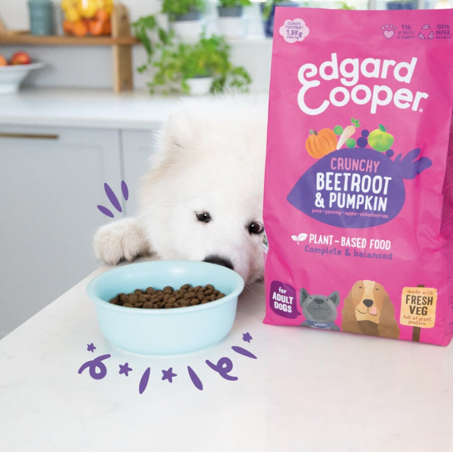 7 kg Edgard & Cooper Remolacha y Calabaza pienso para perros, , large Imagen numero 3