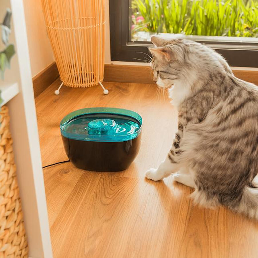 Cecotec Pumba 2200 Refresh Bebedero Automático para perros y gatos thumbnail