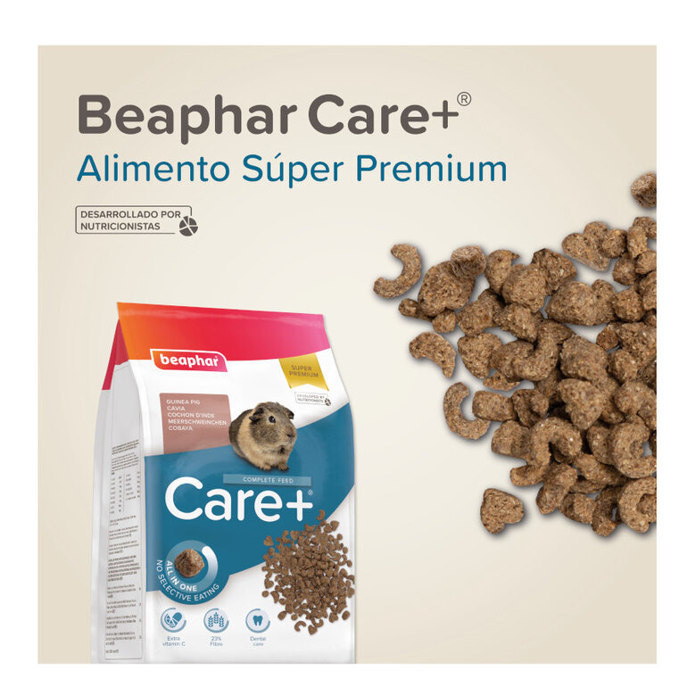 Beaphar Care + Pienso para cobayas,  Imagen numero 8 Beaphar Care + Pienso para cobayas, , large Imagen numero 8