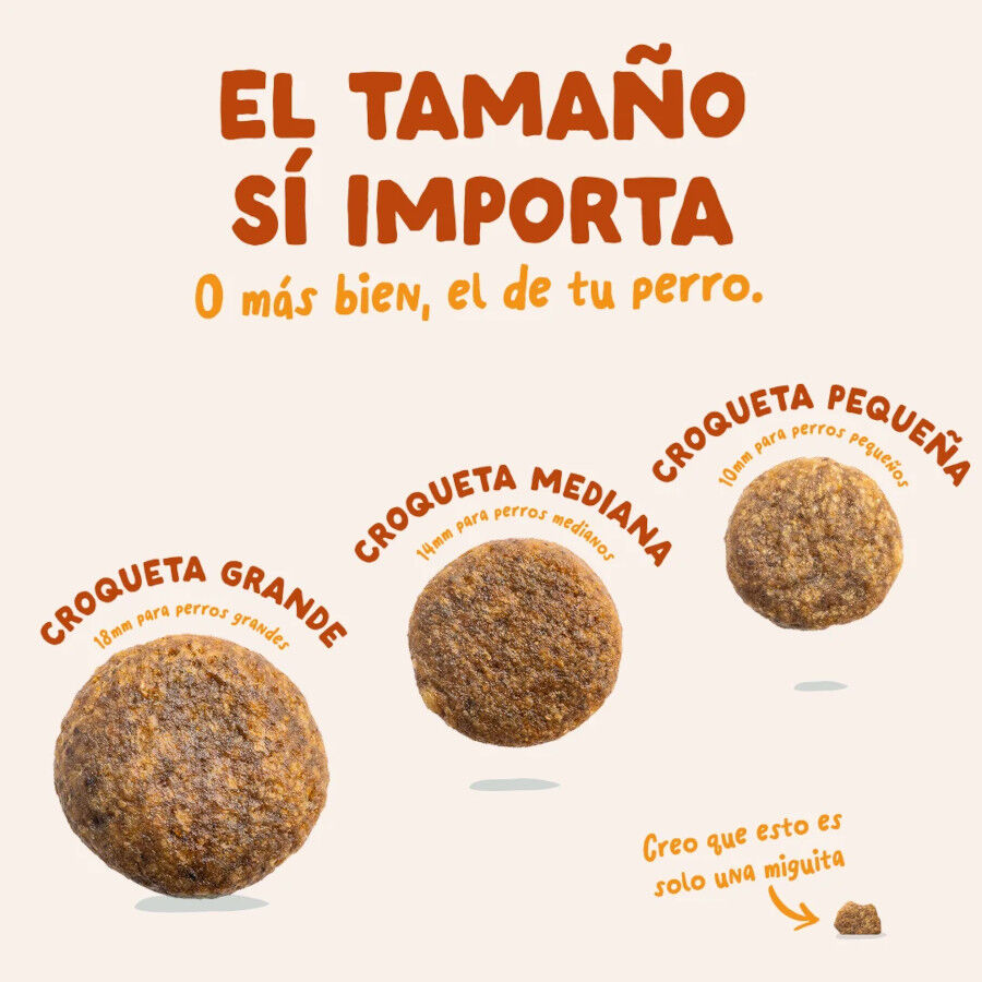 7 kg Edgard & Cooper Zanahoria y Calabac&iacute;n pienso para perros, , large Imagen numero 5