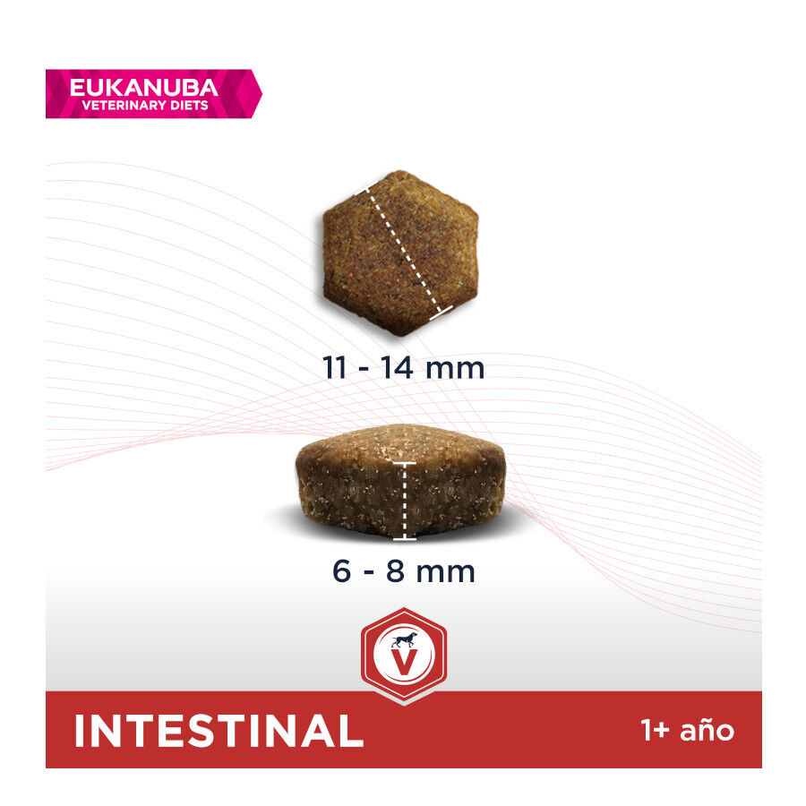 12 kg Eukanuba Veterinary Diets Intestinal pienso para perros, , large Imagen numero 2