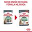 85 g Royal Canin Digestive Sensitive sobre para gatos, , large indicador imagen numero 7