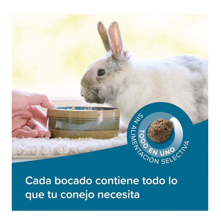 Beaphar Care+ pienso para conejos seniors, , large Imagen numero 4