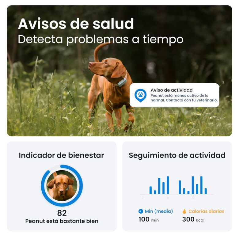 Tractive GPS Dog 6 Marrón Rastreador para perros thumbnail