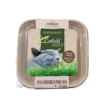 Catfield GreenCat Hierba Natural para gatos