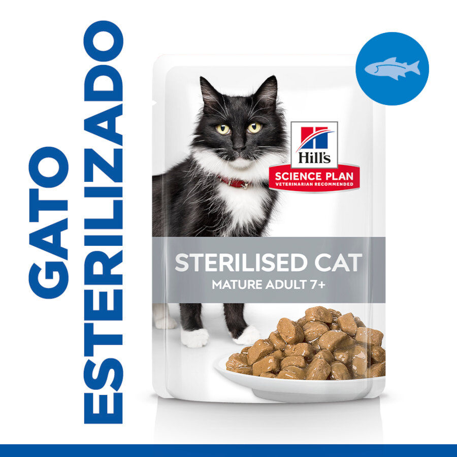 Hill&#039;s Science Plan Sterilised Mature Pescado Oceánico en Salsa sobre para gatos thumbnail