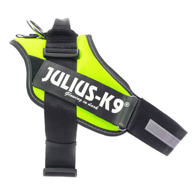 Julius-K9 IDC Arnés Ergonómigo Neón Amarillo para perros