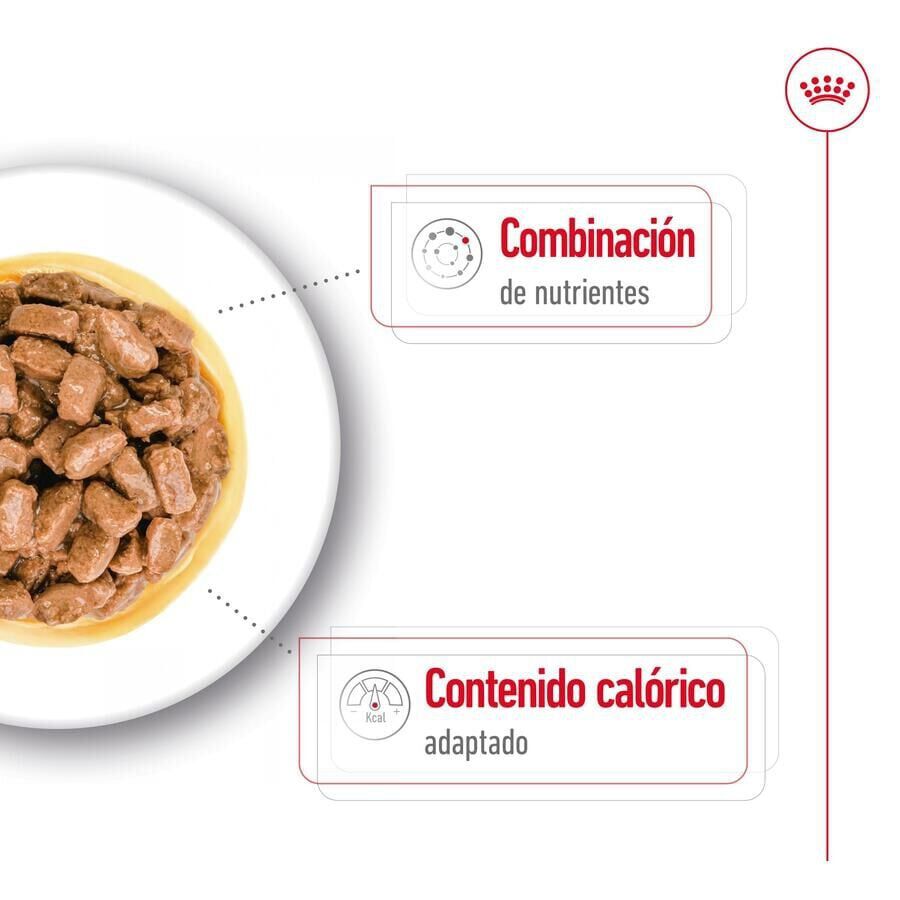 Royal Canin Mini Ageing sobres en salsa para perros thumbnail