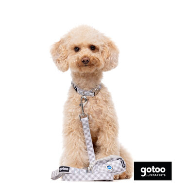 Gotoo Correa estampada cuadro vichy gris para perros