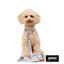Gotoo Correa estampada cuadro vichy gris para perros, , large indicador imagen numero 3