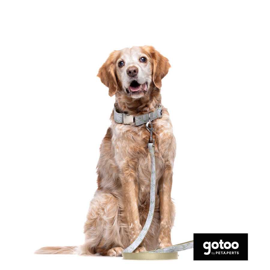 Correa estampada hojas para perros thumbnail