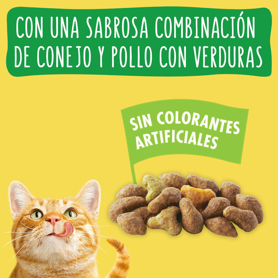 Friskies Conejo y Pollo pienso para gatos thumbnail