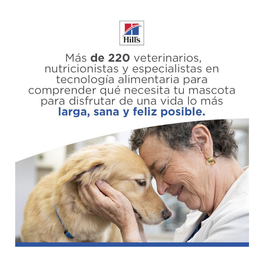 Hill&#039;s Science Plan Hipoalergénico Large Salmón pienso para perros thumbnail