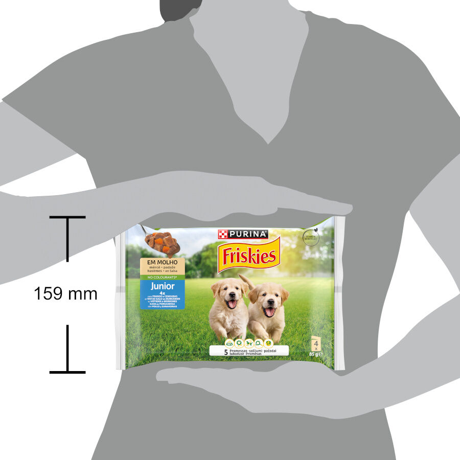 Purina Friskies Comida Humeda para perros jóvenes, con pollo y zanahoria thumbnail