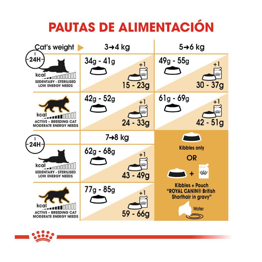 Royal Canin Adult British Shorthair pienso para gatos thumbnail