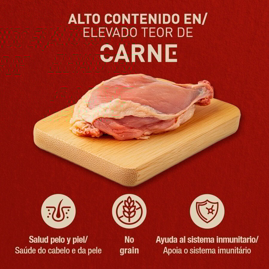 12 latas x 400 g Catxtreme Pavo en pat&eacute; lata para gatos &iexcl;Pack Ahorro!, , large Imagen numero 3