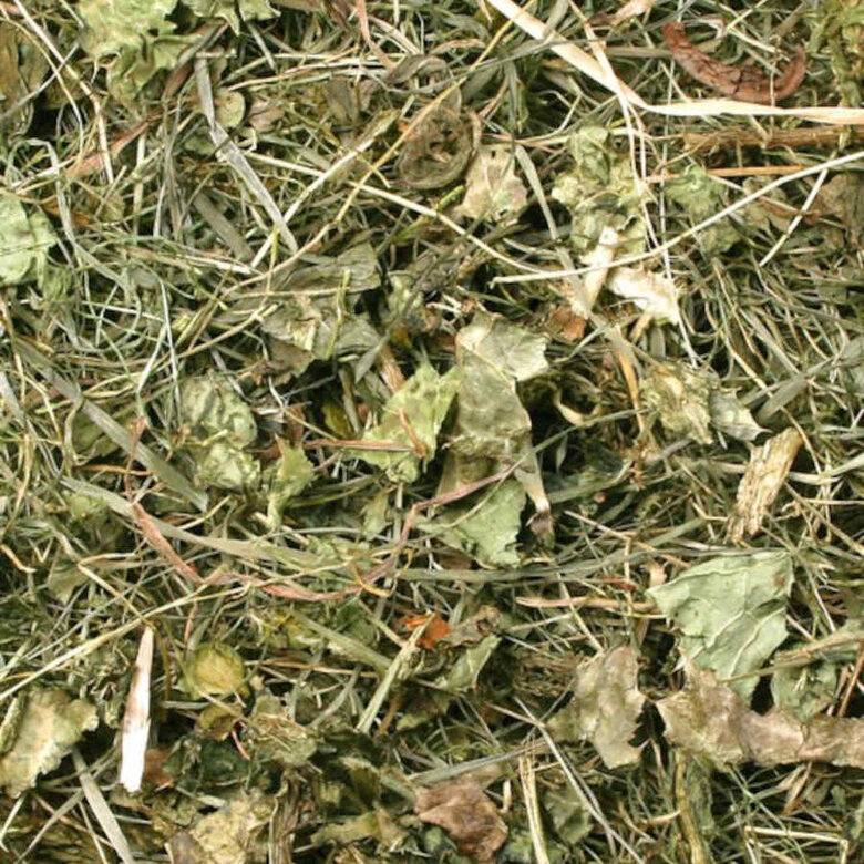 JR Farm Cardo Mariano heno para roedores,  Imagen numero 2 JR Farm Cardo Mariano heno para roedores, , large Imagen numero 2