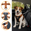 Outech X-perience Arn&eacute;s de Coche para perros, , large indicador imagen numero 3