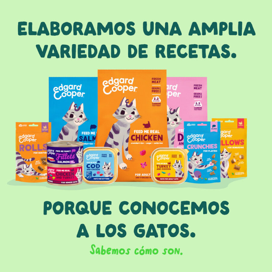 70 g Edgard & Cooper Filetes de Salm&oacute;n y Ceballa Lata para gatos, , large Imagen numero 8