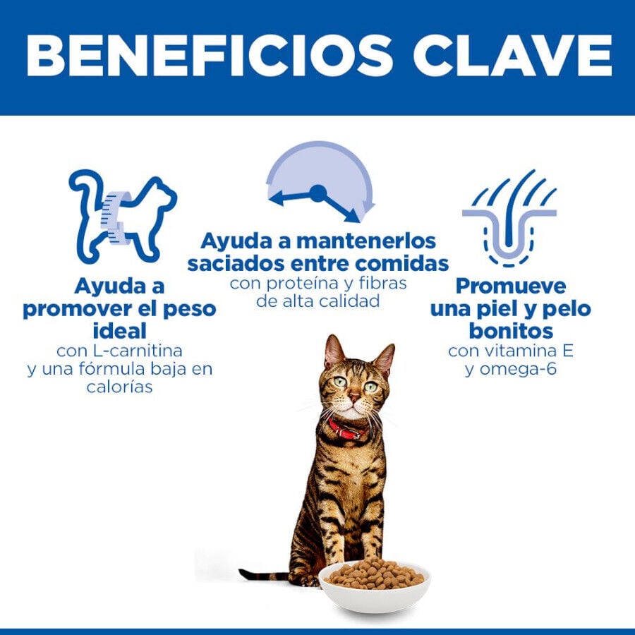 10 kg Hill's Science Plan Light Adult Pollo pienso para gatos, , large Imagen numero 5