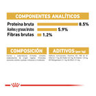 Royal Canin Sobre Paté para Teckel, , large image number null