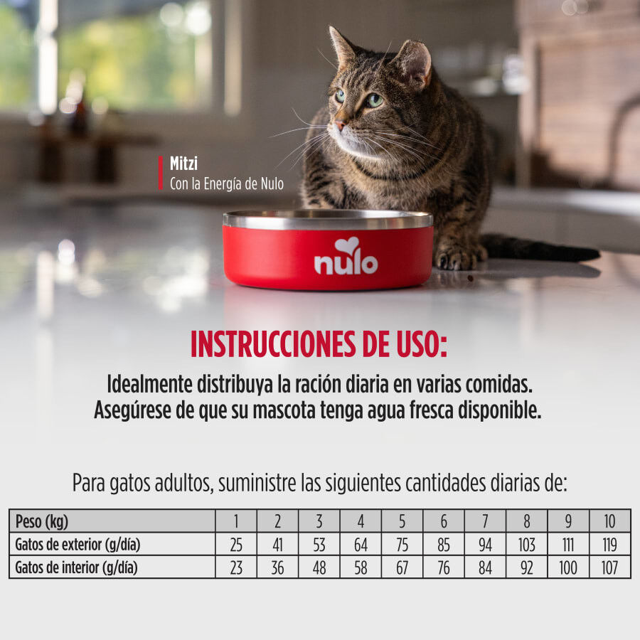 4 kg Nulo Raw Medley Pienso Pavo Pollo y Trucha para gatos, , large Imagen numero 3